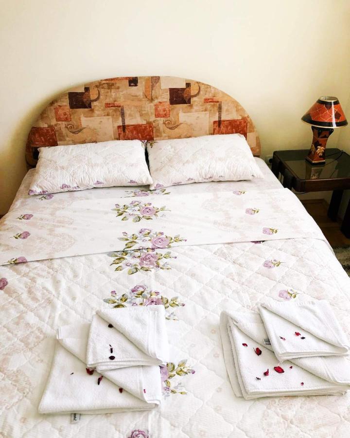 Apartman Djina Vrnjačka Banja Zewnętrze zdjęcie